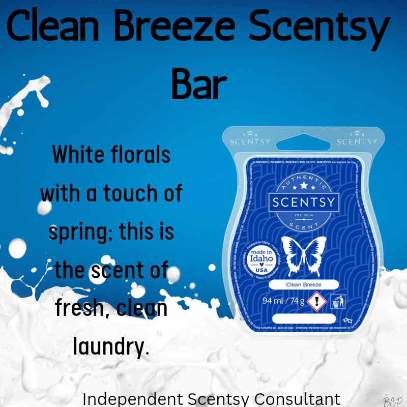 Independent Scentsy Consultant_20241012_141718_0000